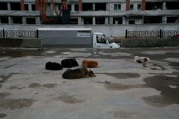 andy scholz stauraum